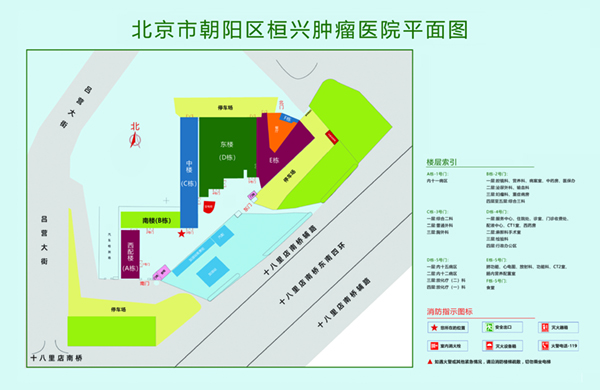 操逼操逼操逼视频操逼视频北京市朝阳区桓兴肿瘤医院平面图